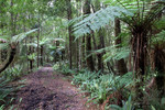 Inland (13)